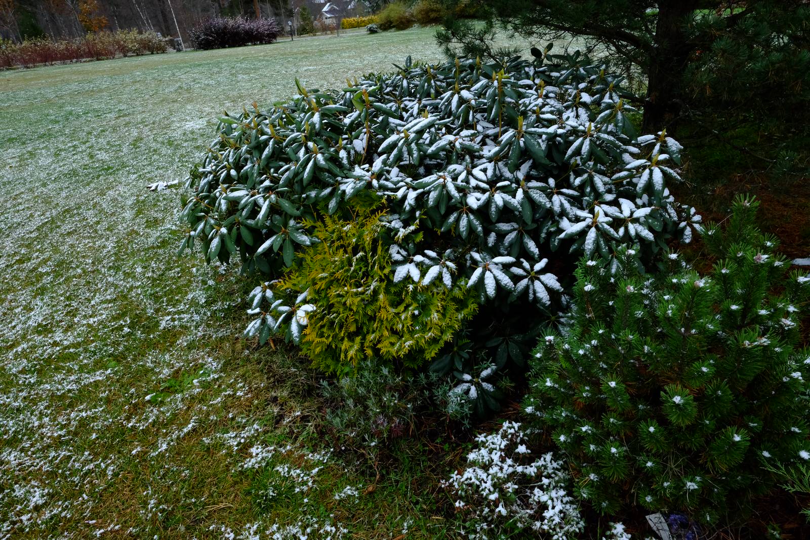 Репинские Усадьбы