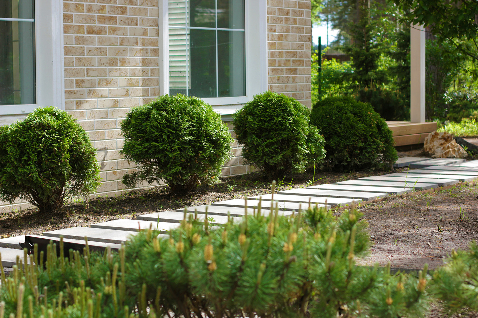 Обложка альбома: участок