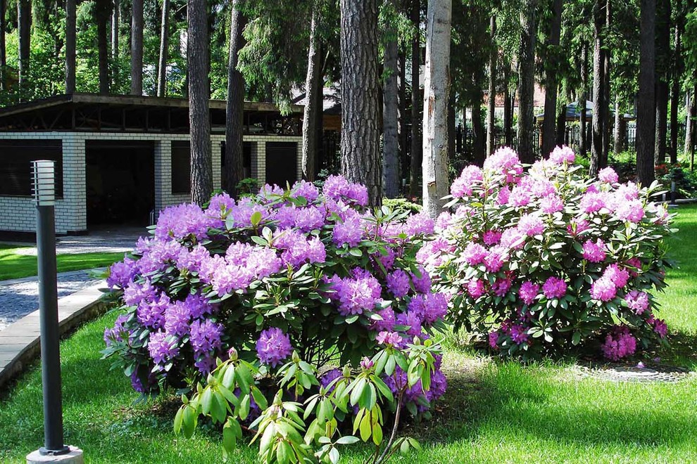 Сад с водоемом в КП " Сосновый Бор"