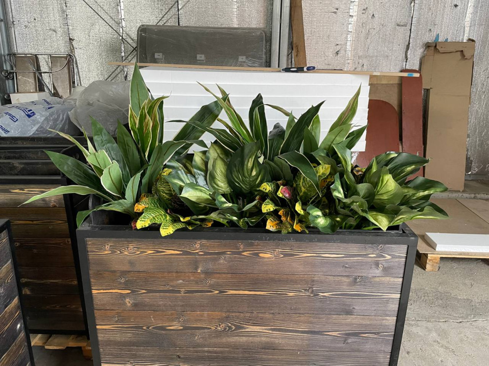 Ресторан FRANK на Рубинштейна г. Санкт-Петербург