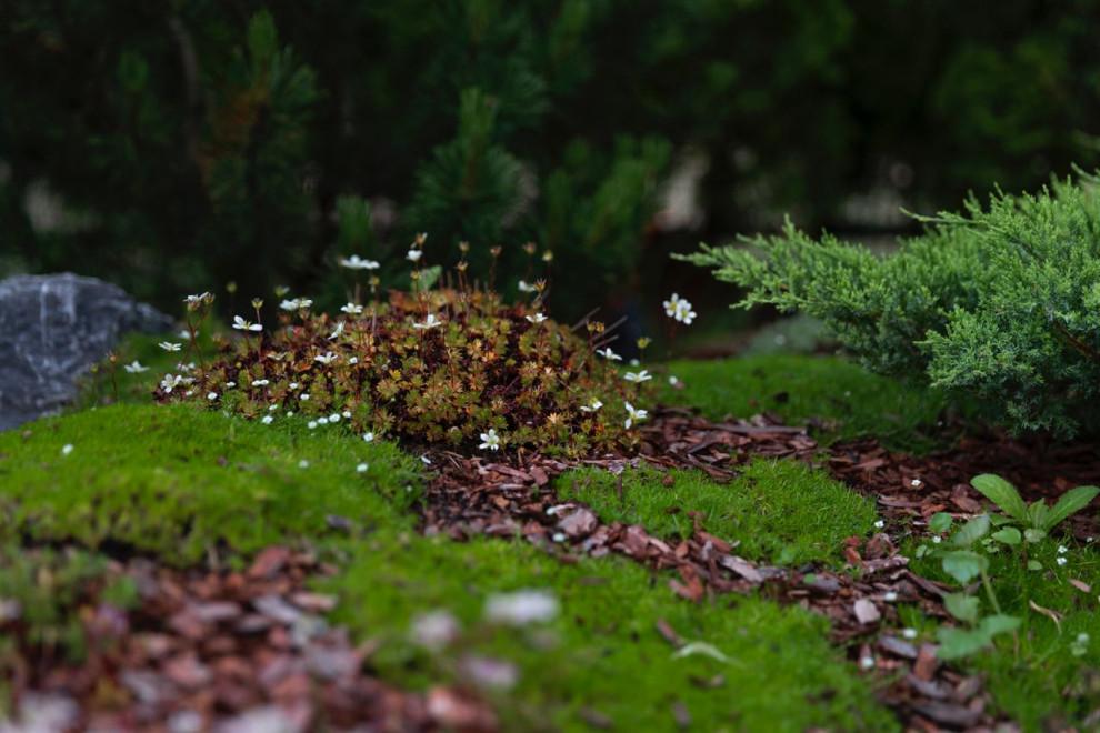 Элемент времени