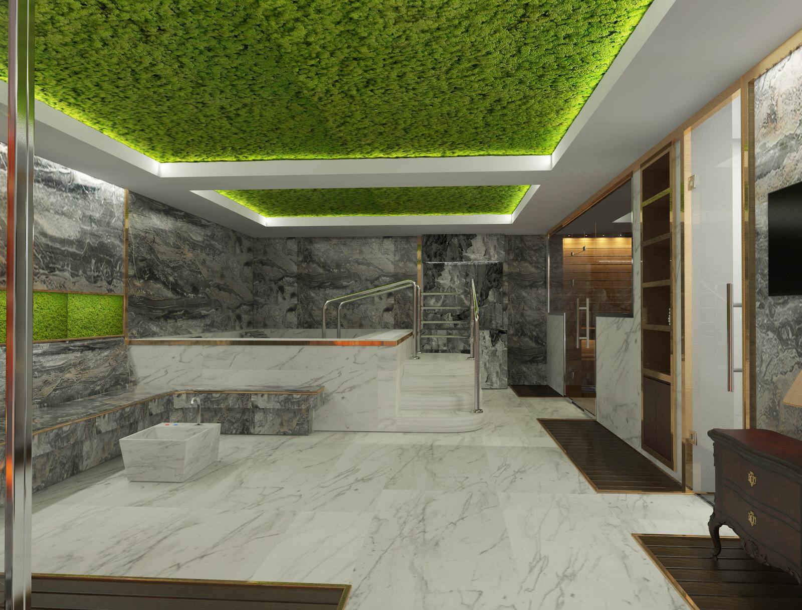 Обложка проекта: Эскизный проект банного комплекса