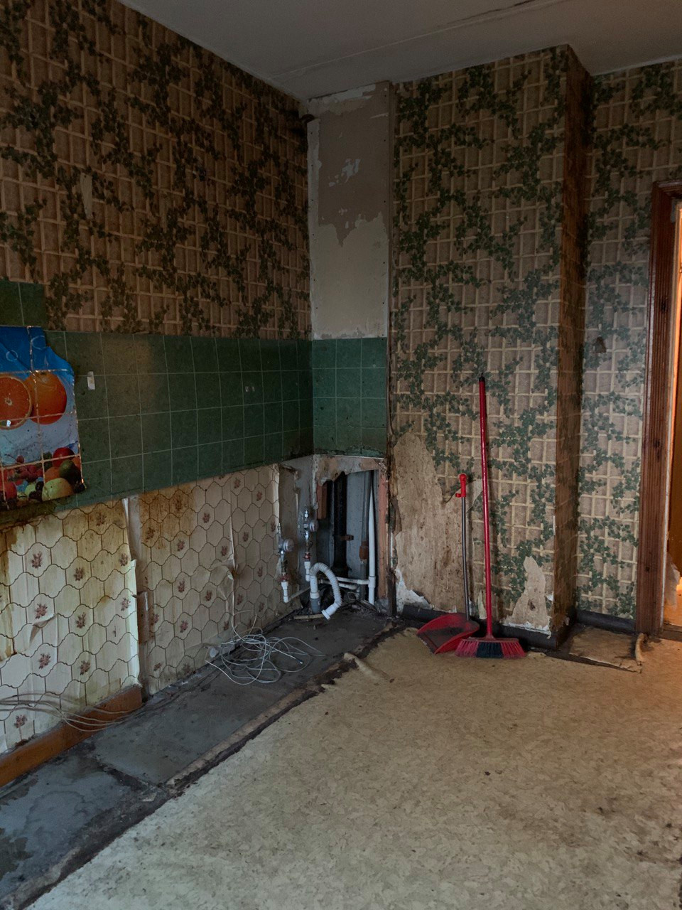 "Гадкий утенок"