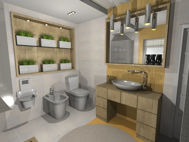 Сан.узел в частном доме