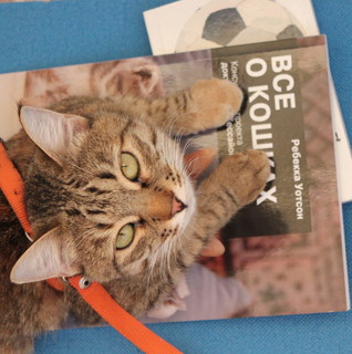 Екатерина Петрова