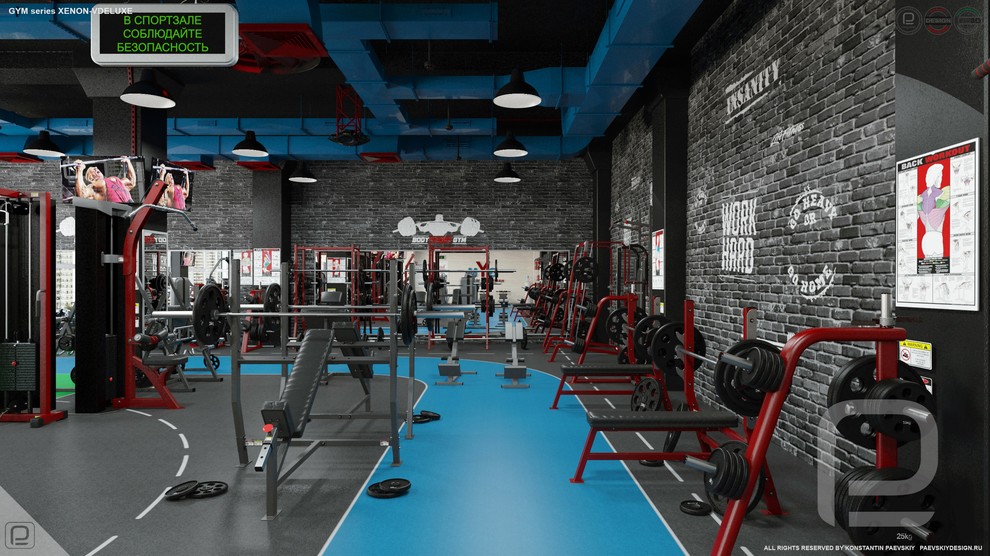 Тренажерный зал GYM series XENON-VDELUXE