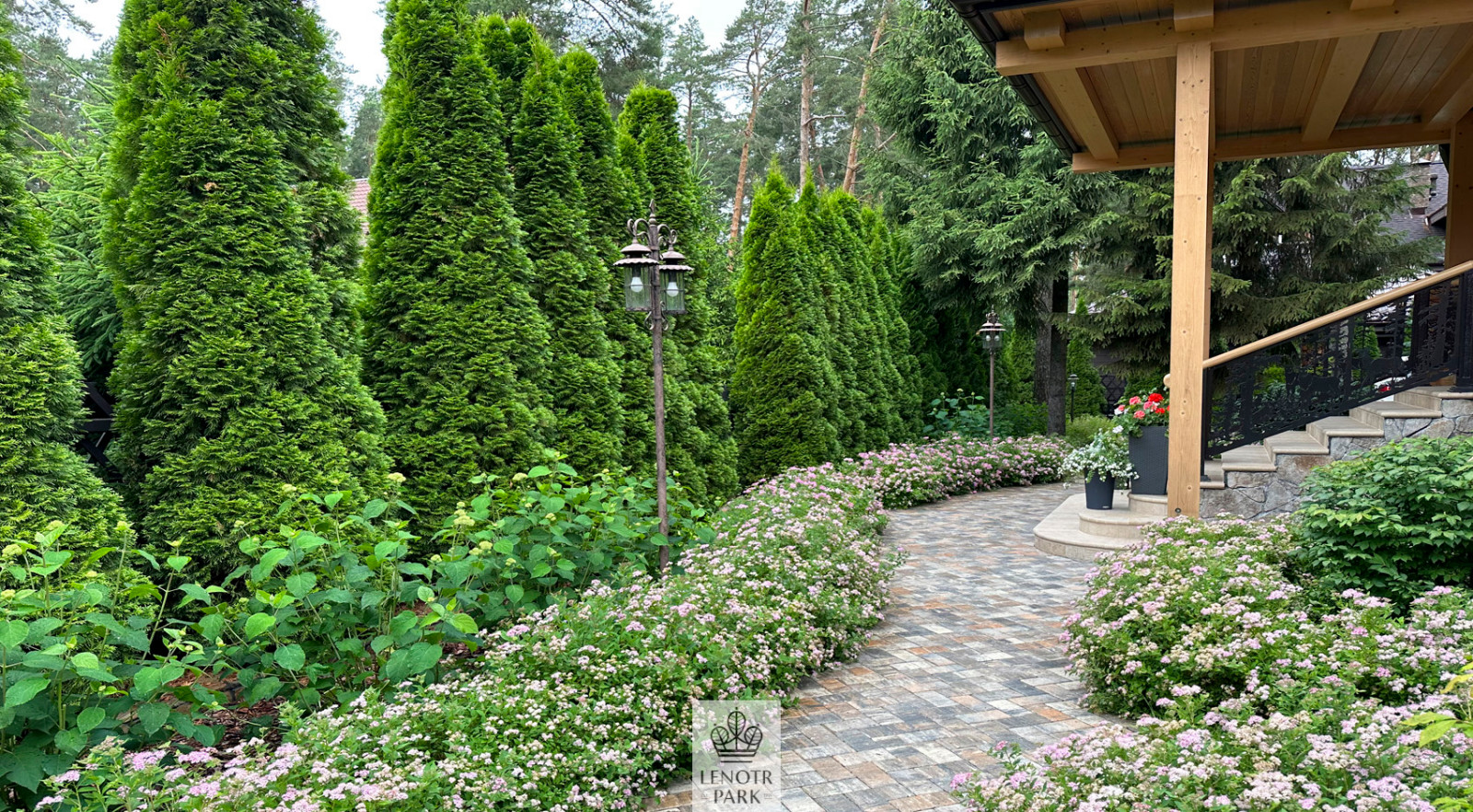 Заповедный Бор 2