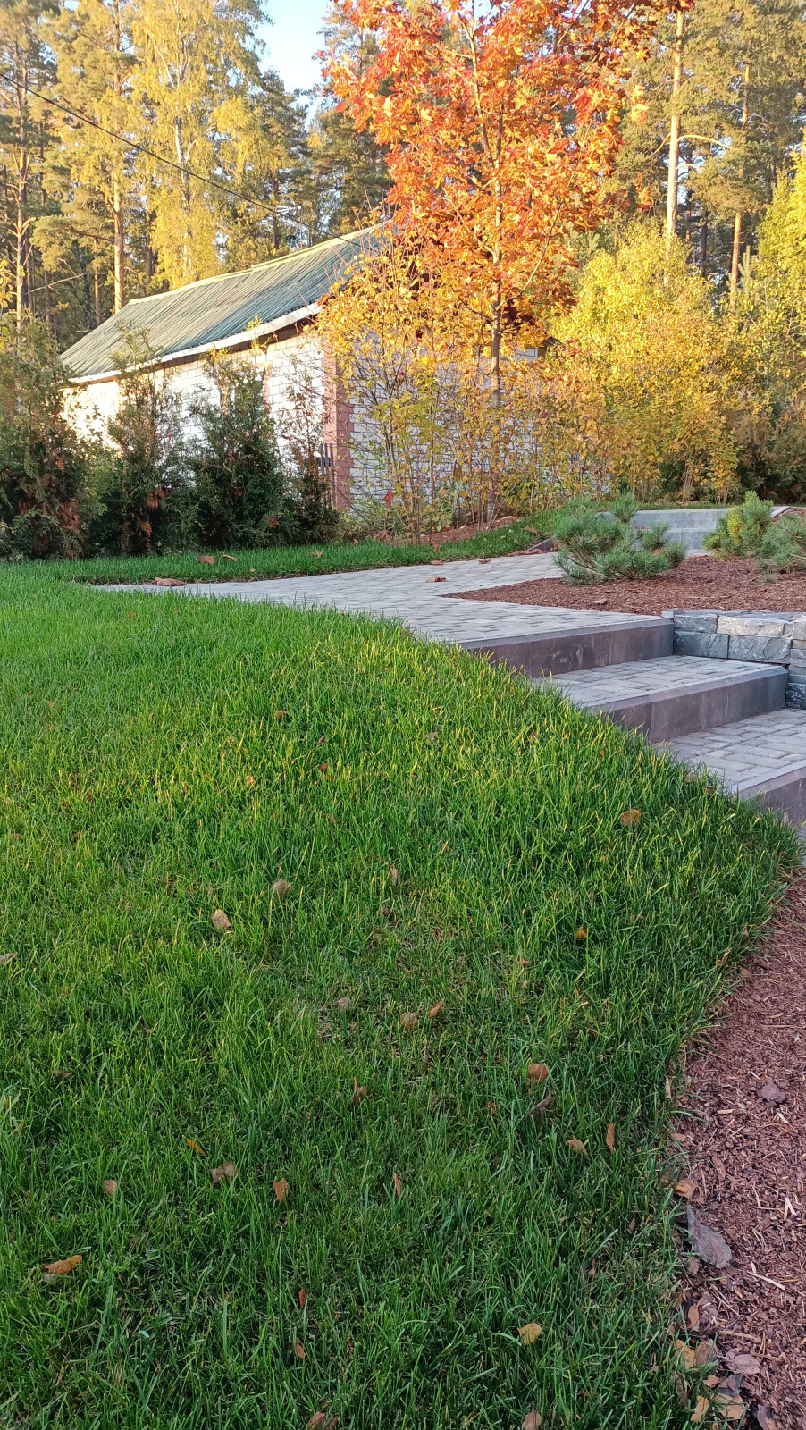 Лесная сказка в Мичуринском