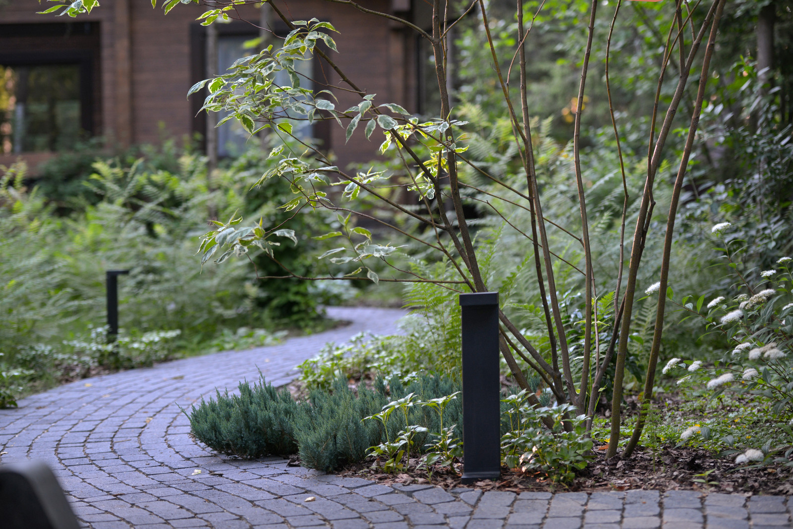 Благоустройство лесной (частной) территории