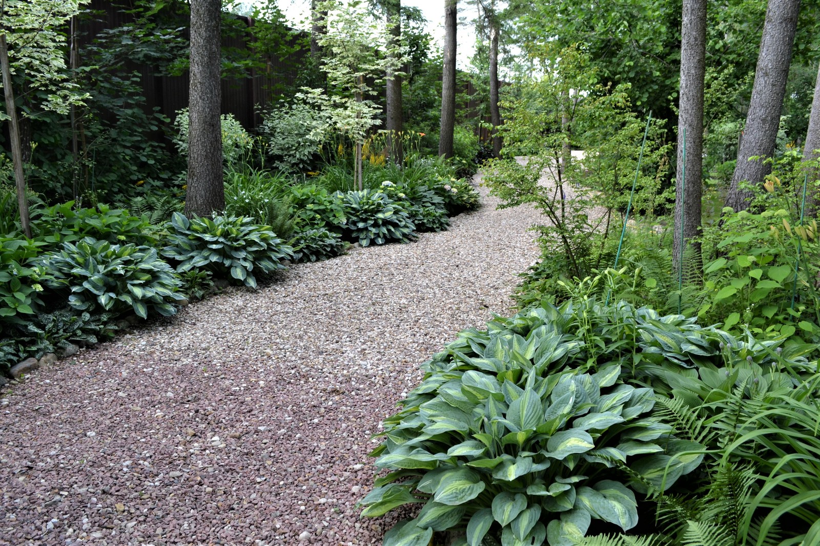 Клуб владельцев частных садов "Цветущая Планета". Сад в лесу и теневые цветники.