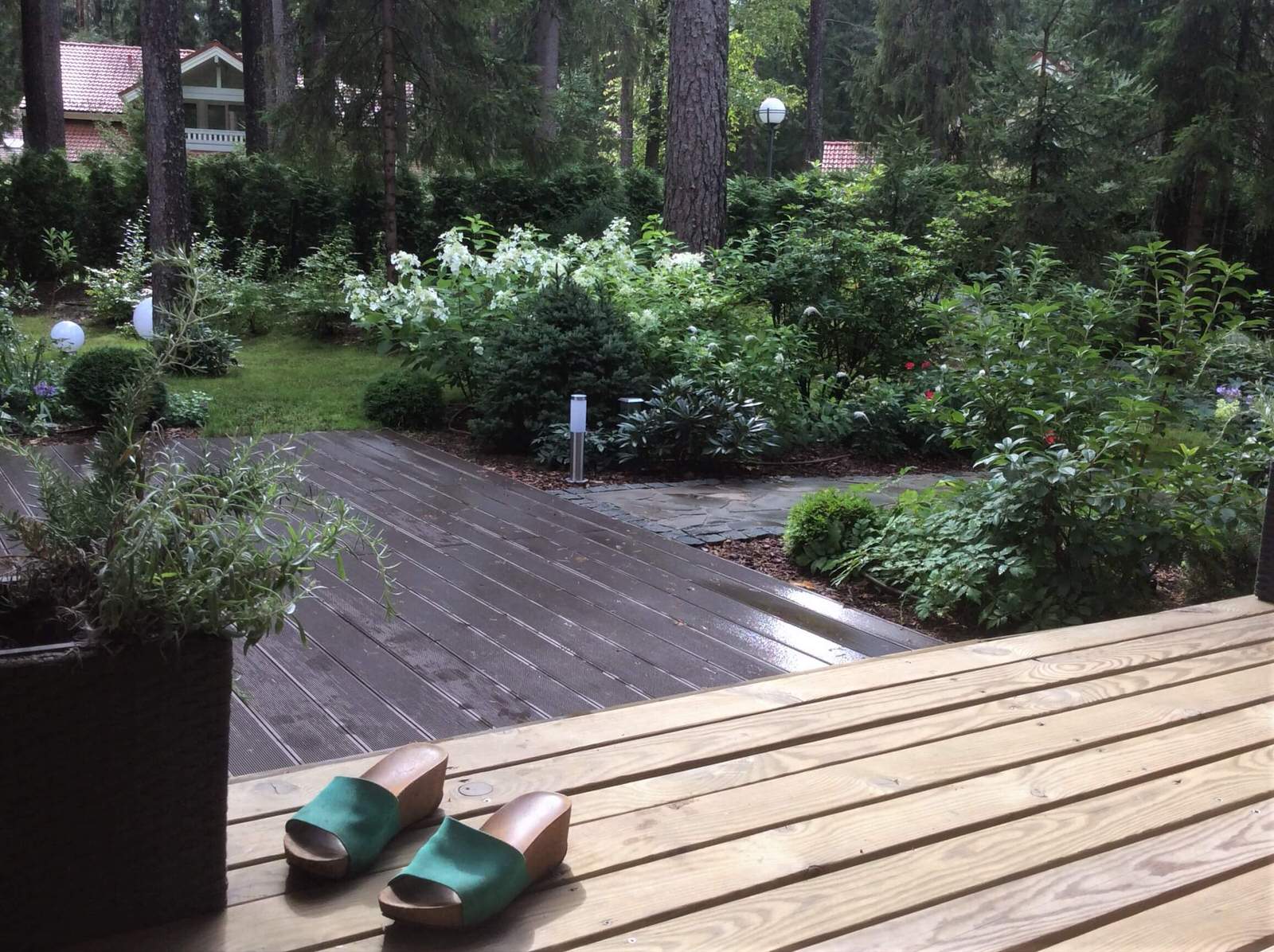 ШЕРВУДСКИЙ ЛЕС