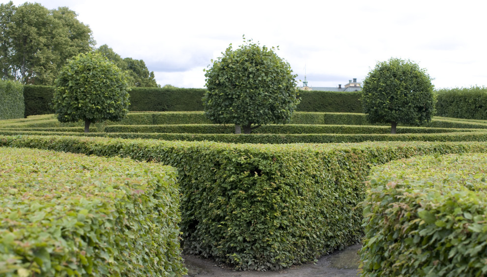 коттеджный посёлок "Барвиха"