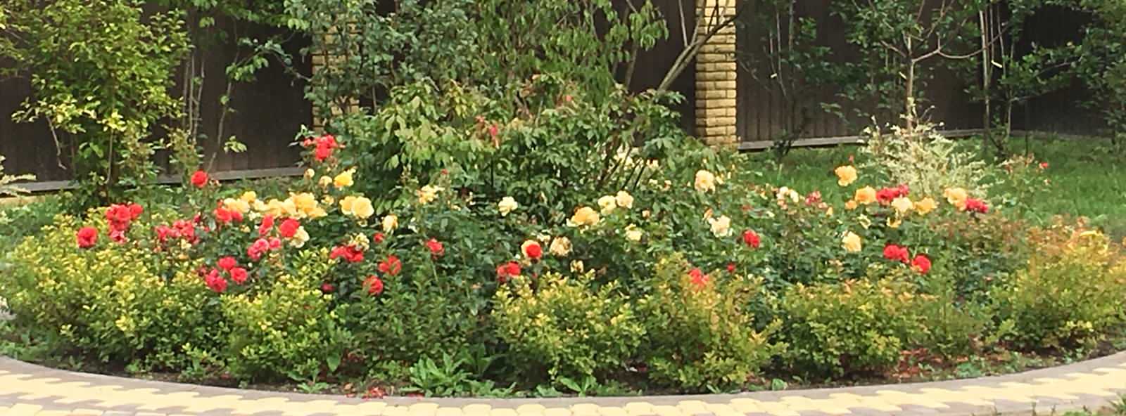 Обложка проекта: Васильевское