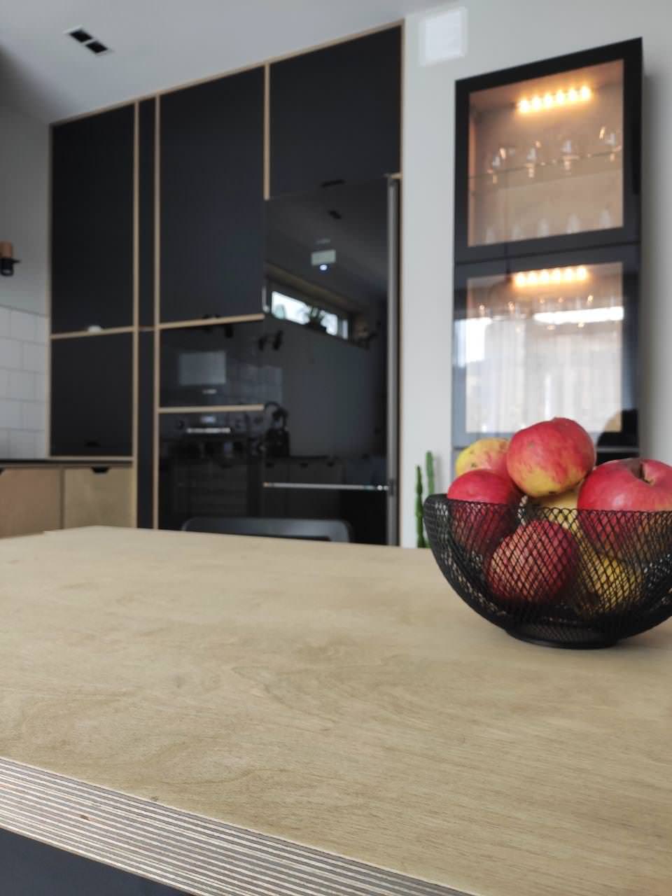 Кухня из фанеры и пластика FENIX