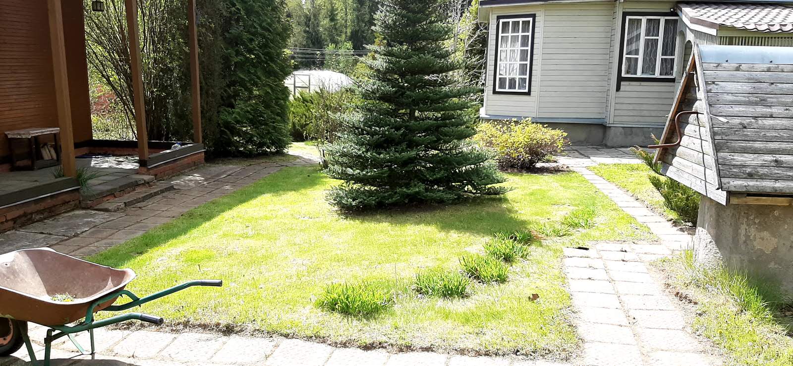 Новый взгляд