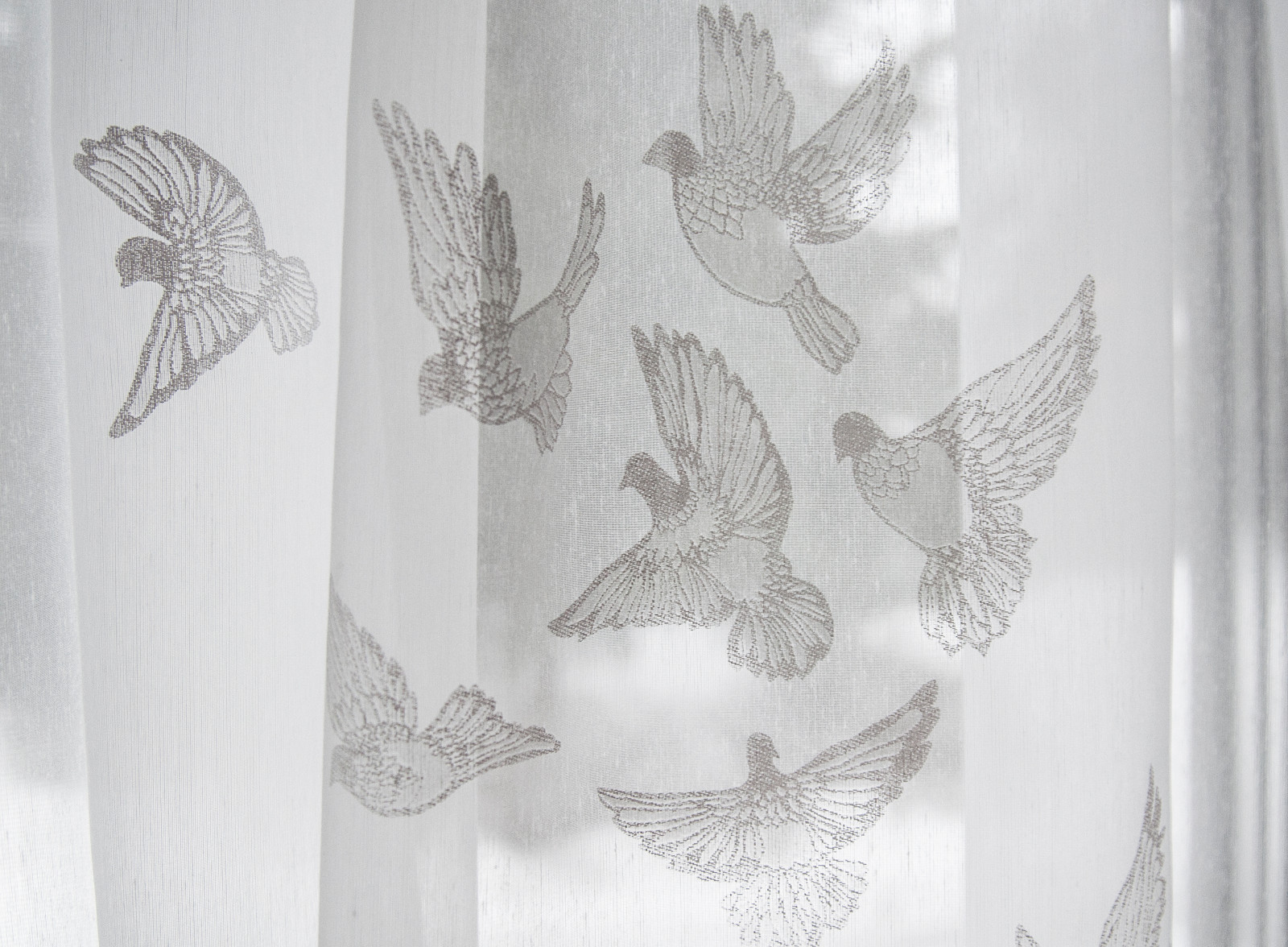 Светлая веранда с птичками