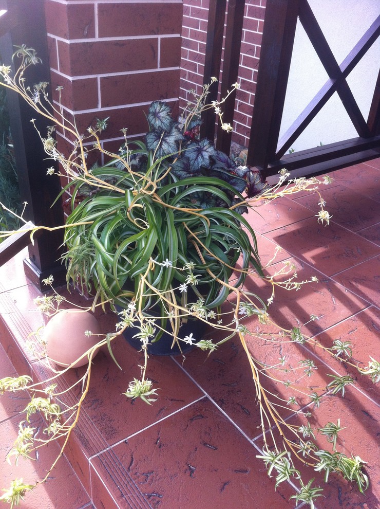 Уличные кашпо