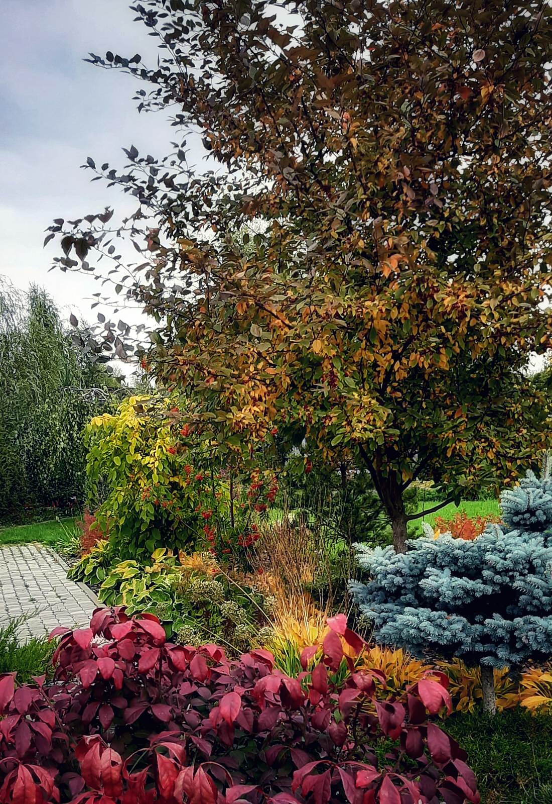 Сад на краю деревни.