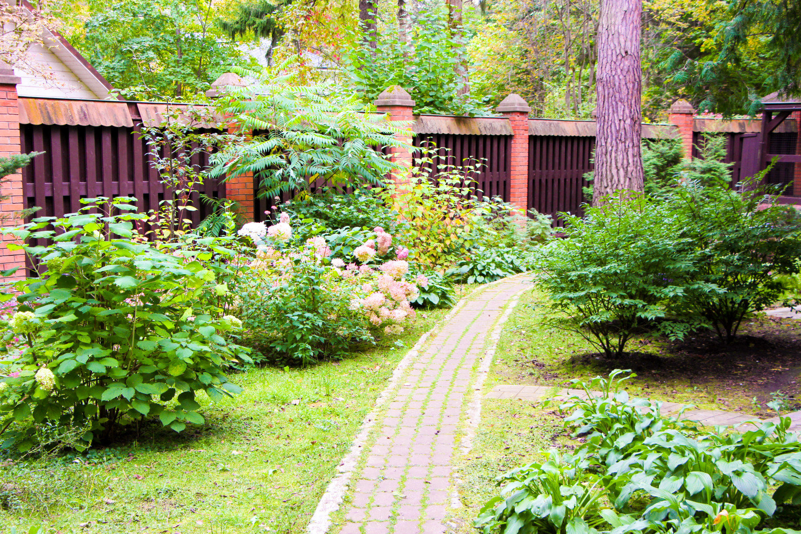 Баковка, 2018 г.