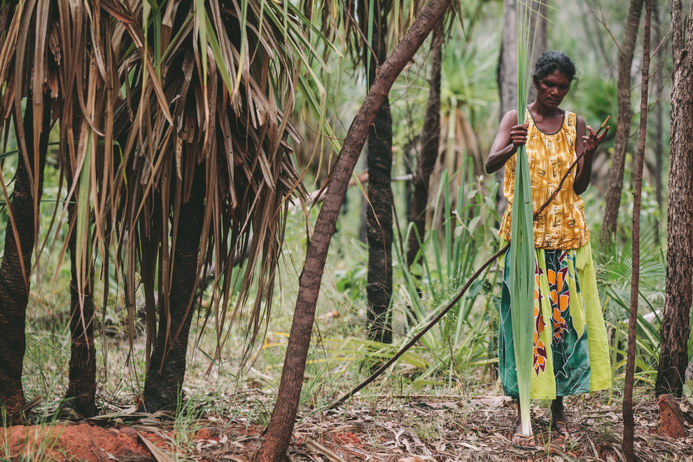 Как австралийские аборигенки создали новый национальный дизайн