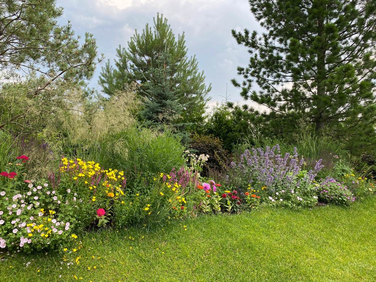 КП Пестово "Evergreen'