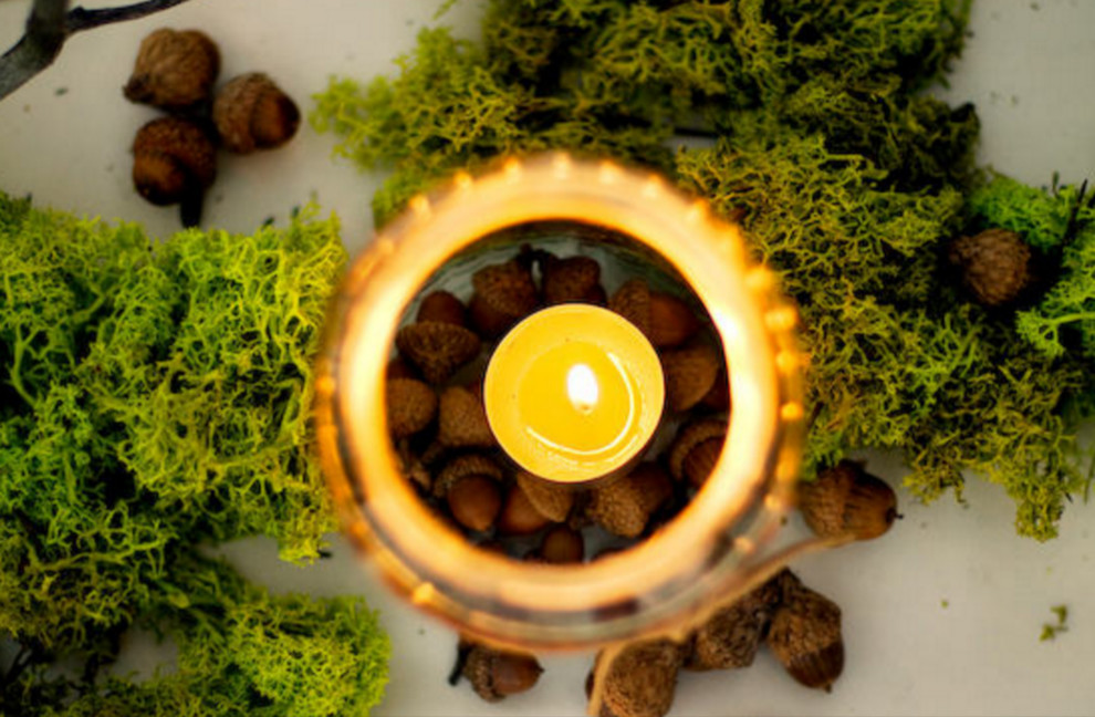 Мох в интерьере