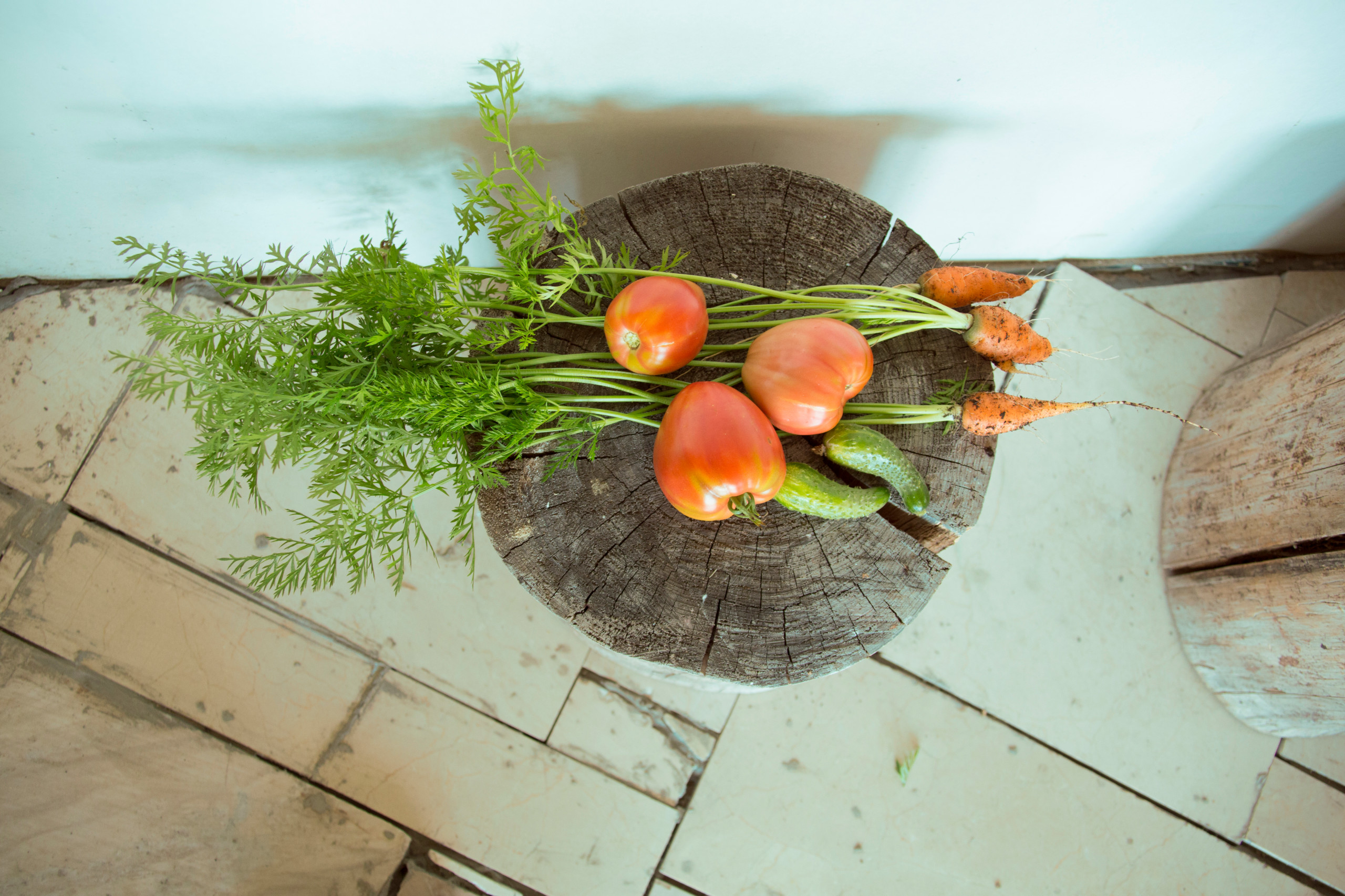В гостях: Огород на крыше гаража в загородном доме