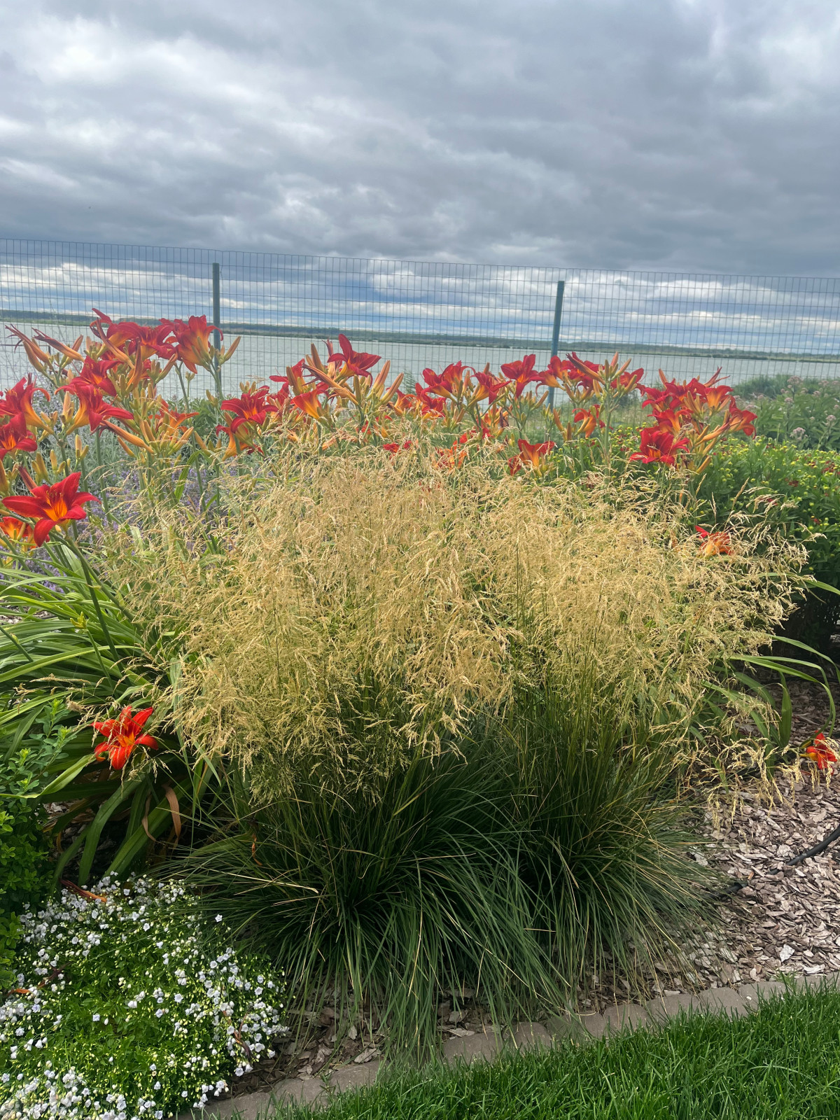 Обложка проекта: «Сад у озера»