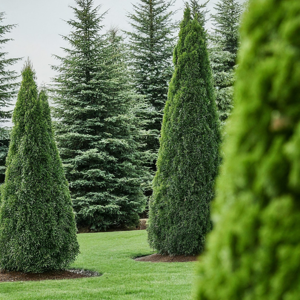 Частный сад 1. Пейзажный