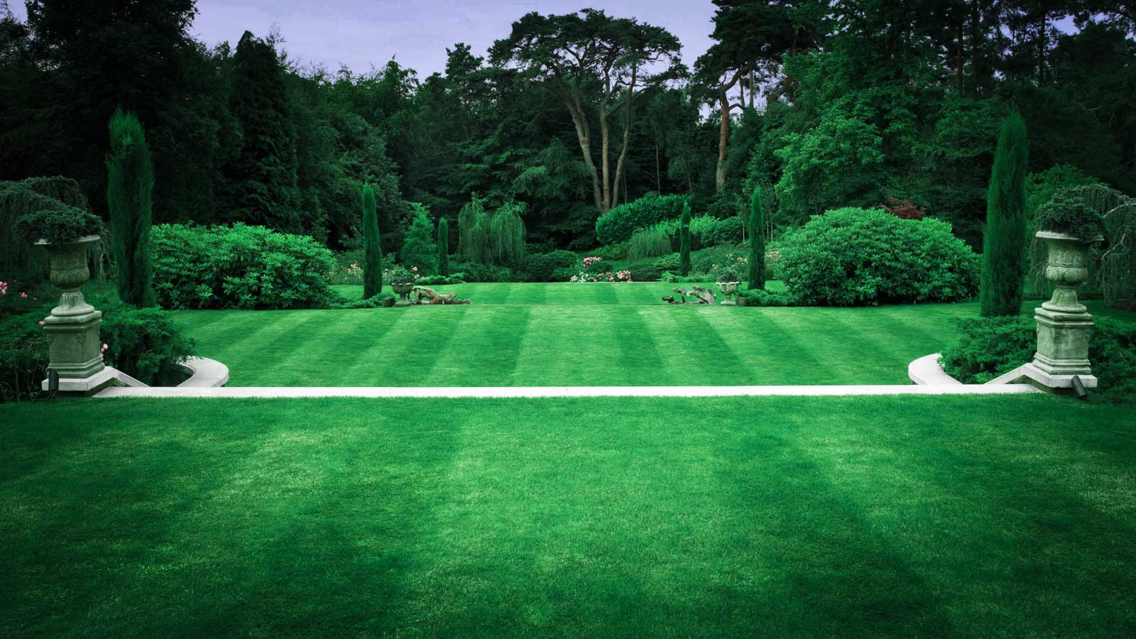 Обложка альбома: Идеи пользователя Ирина