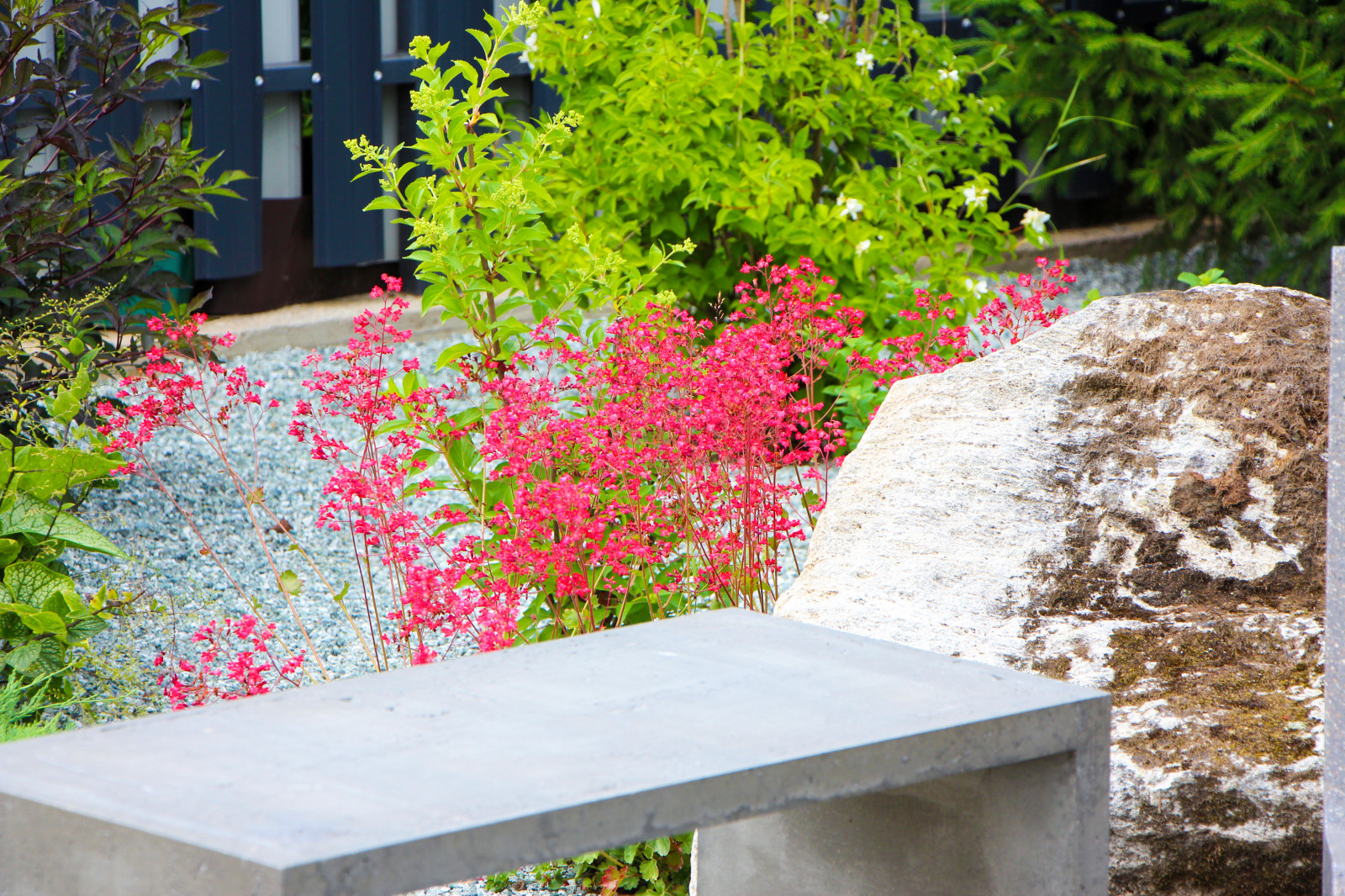 Лесной, 2022 г.