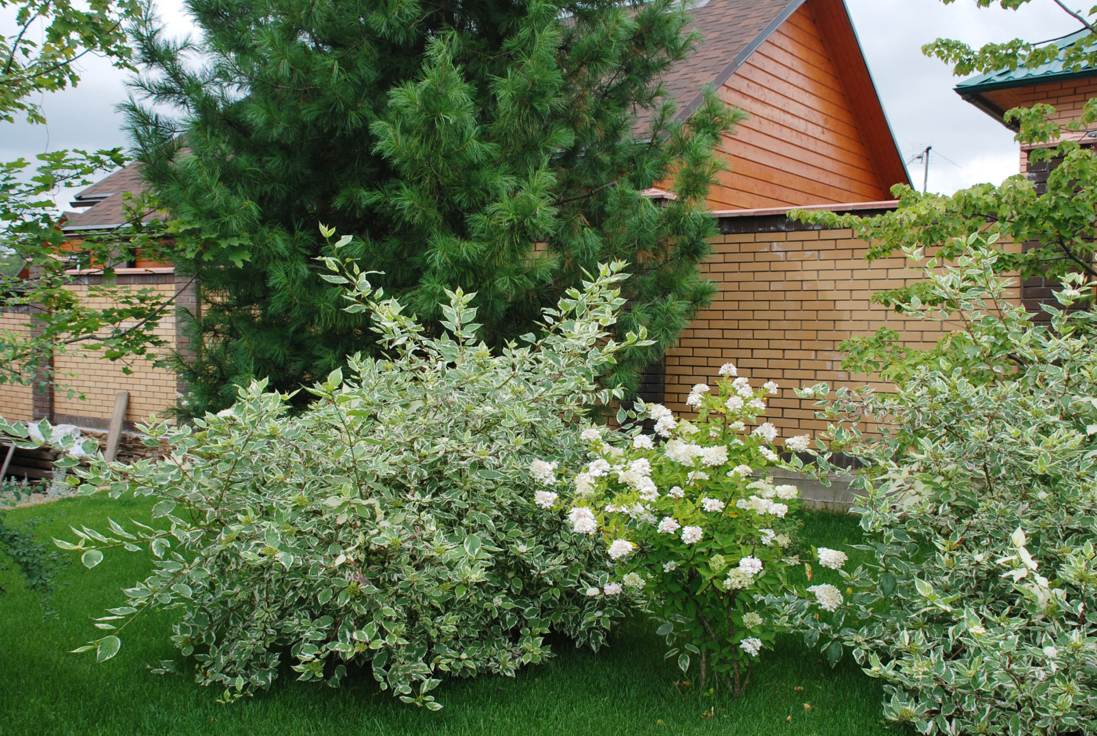 Сад на сложном рельефе