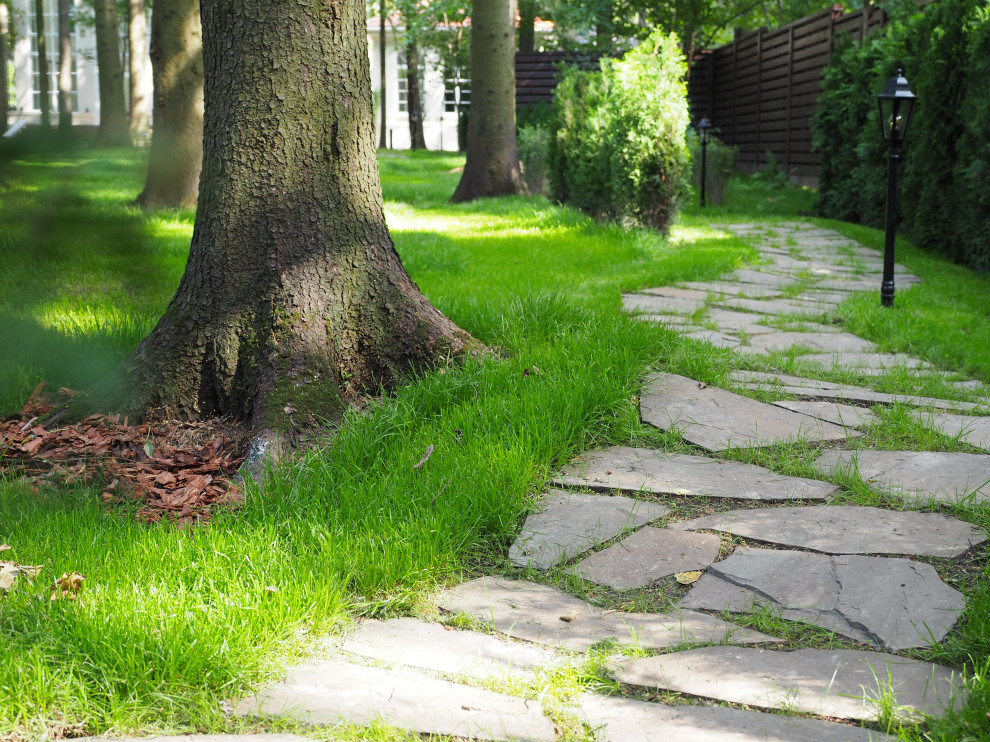 Проект Грибово