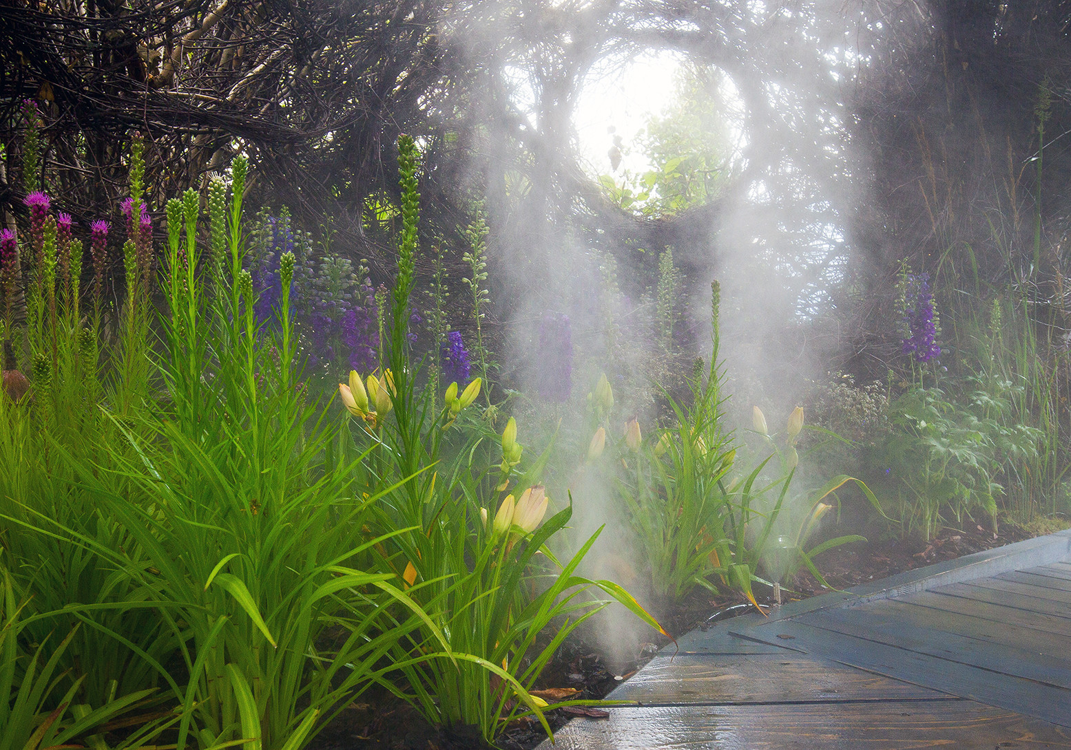 Фотосъемка Сада   по  Метрелинку на MFS 2019 Авторы М,Береснева М. ПРИНТЦ