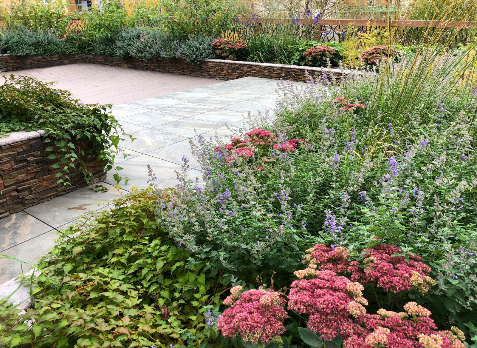 Розовое утро. Сад на крыше