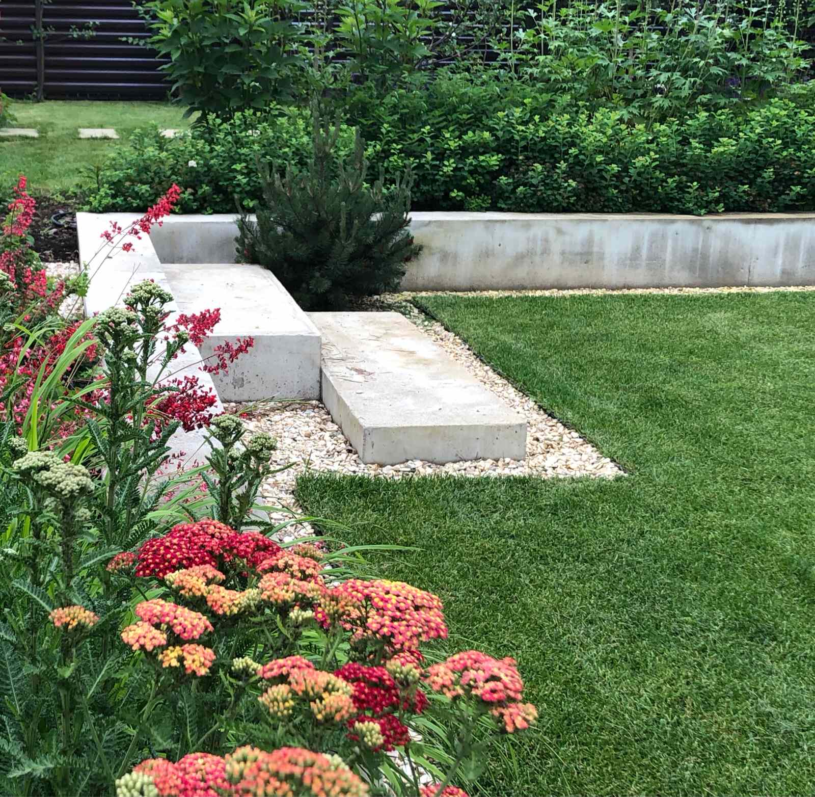 ДНП Ветеран