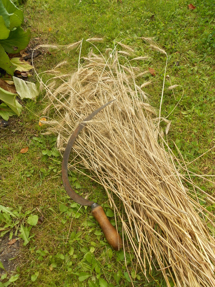 Хороший вопрос: Как сделать компост на даче и не перетрудиться