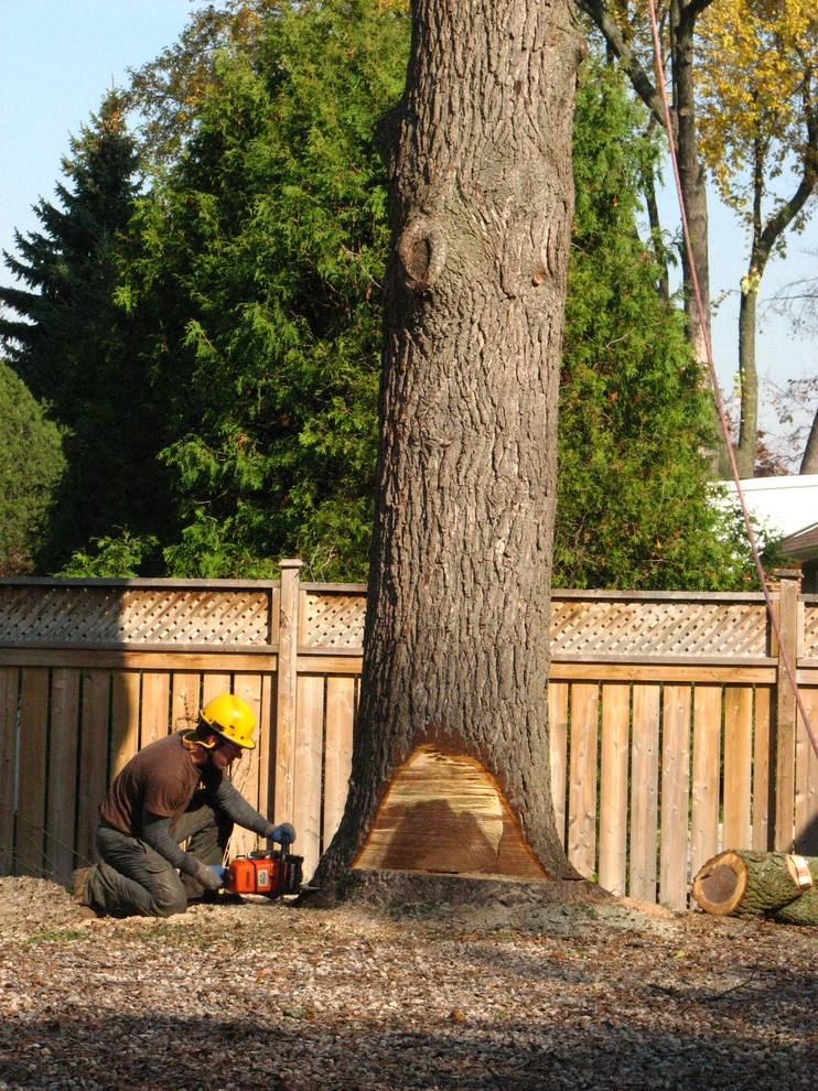 Итак, вы купили дачу... Что делать дальше?