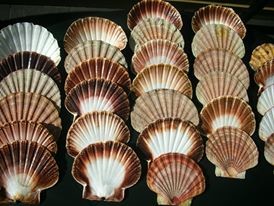 Личный опыт:  Жизнь в Норвегии — нравы, обычаи, традиции, быт