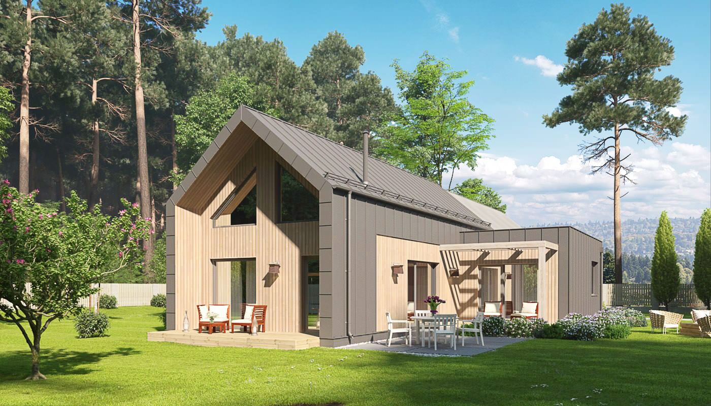 Обложка проекта: Дом в селе Елизаветинская