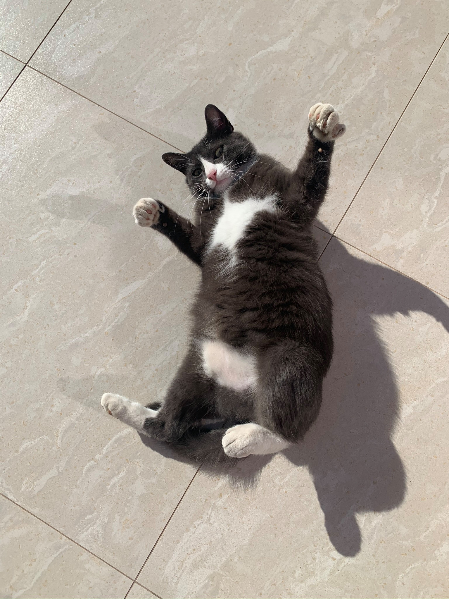 Личный опыт: Робот-мойка окон и другие гаджеты для частного дома