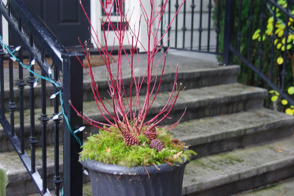 Вот и лето прошло: Что делать с растениями и уличными кашпо по осени