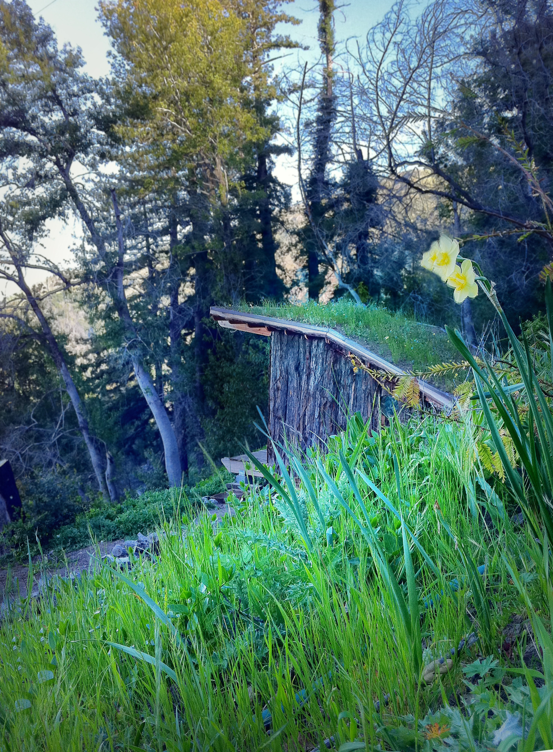 Мал да удал: Компактные дома, которые выглядят на миллион