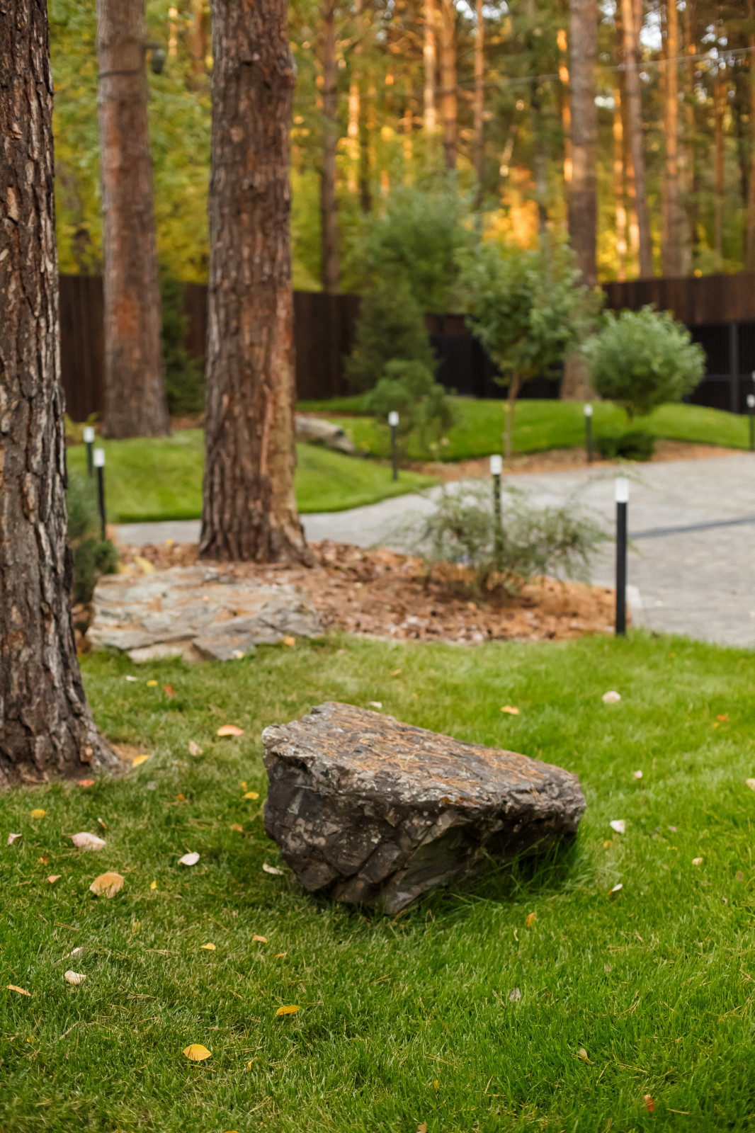 Ландшафт. Лесная погулка