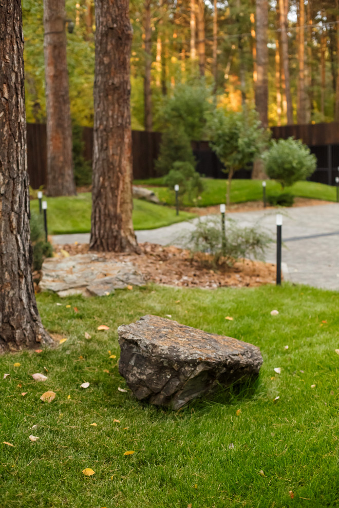 Ландшафт. Лесная погулка