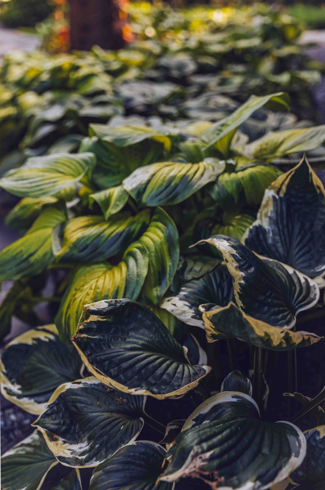 Архитектурное Решение в Пейзажном Стиле