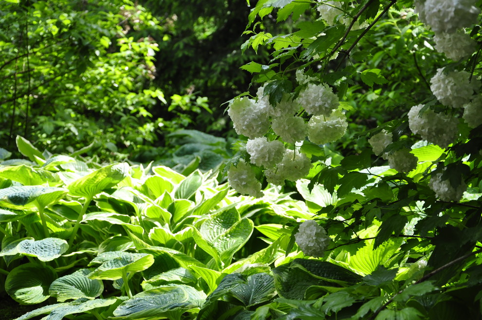 кп. "Архангельское" - Уход за садом - 100% качество!