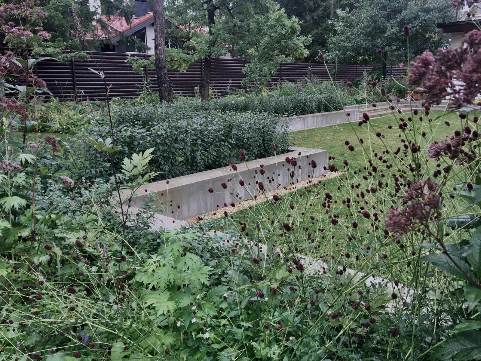 ДНП Ветеран