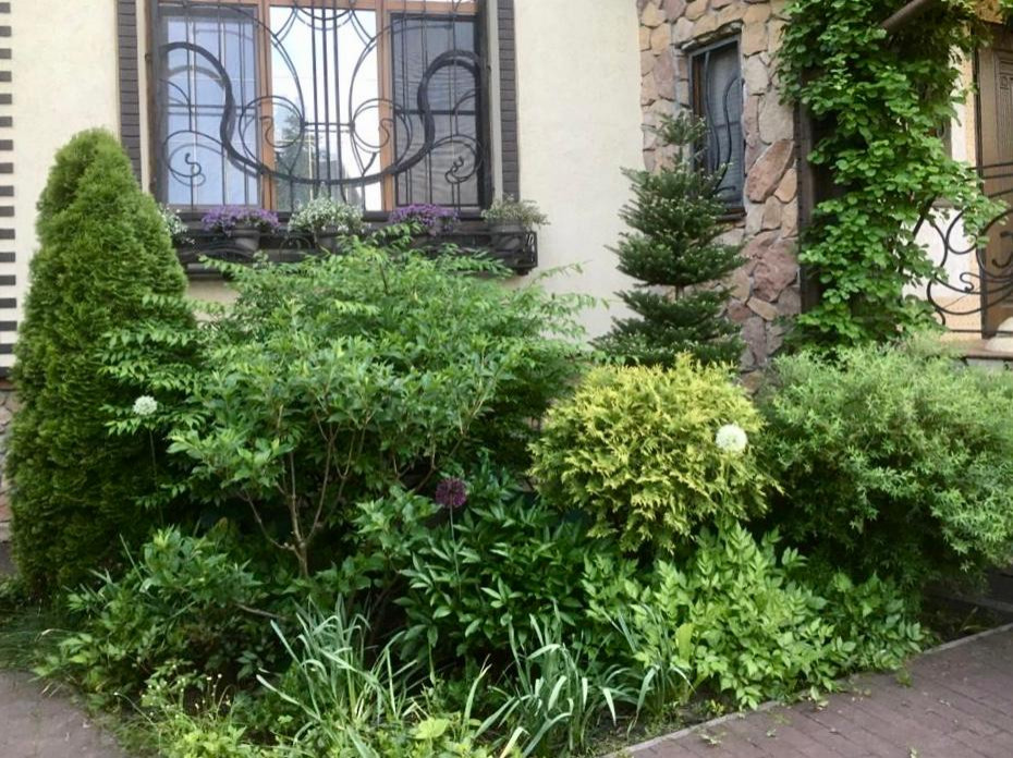 В гостях: Сад на 14 сотках, где живут круглый год