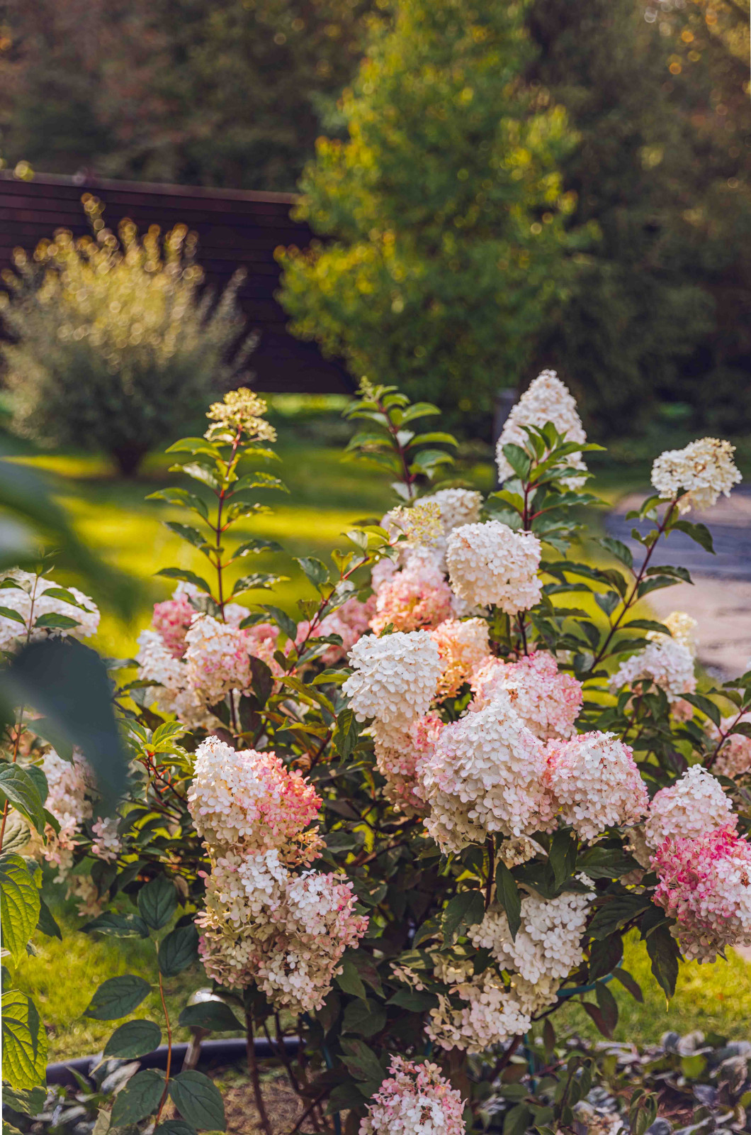 Архитектурное Решение в Пейзажном Стиле